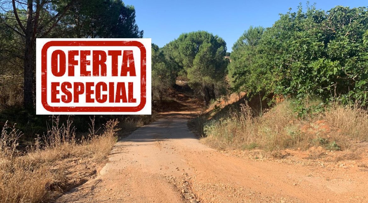 oferta mes