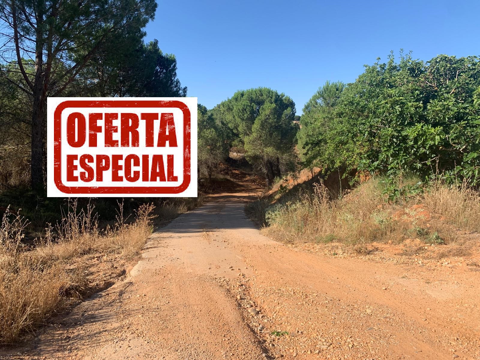 VENTA GRAN PARCELA DE TERRENO CON NAVES EN 2 PLANTAS, Y CON OLIVAS EN PRODUCCIÓN.