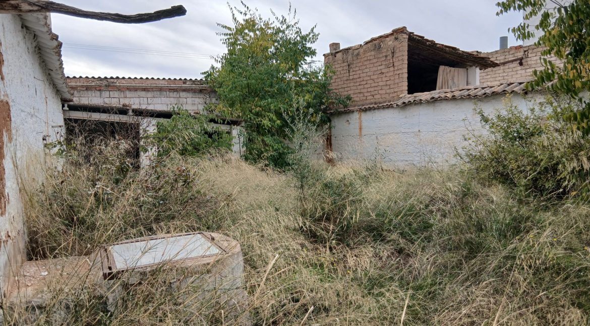 WhatsApp Image 2025-11-10 at 12.42.18