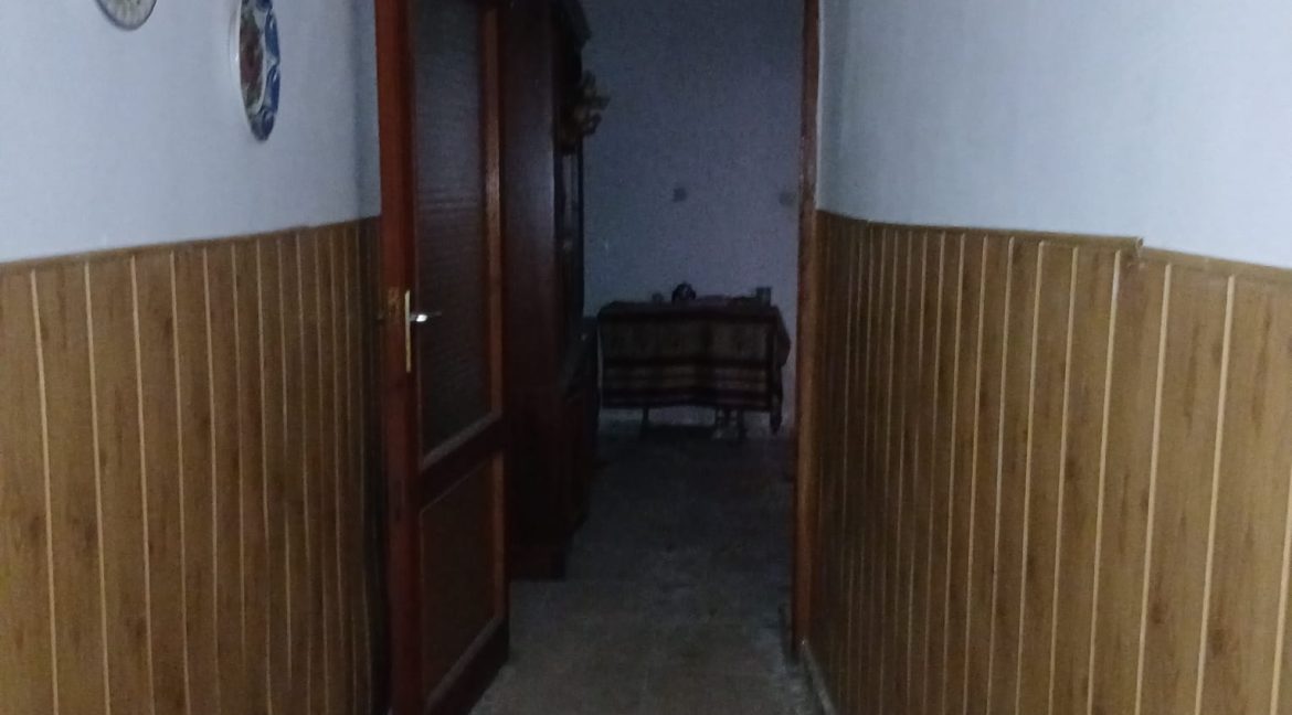 WhatsApp Image 2026-01-20 at 15.21.53 (11)